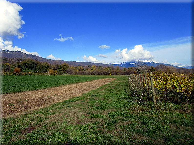 foto Colli Asolani in Autunno